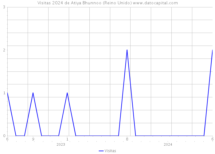 Visitas 2024 de Atiya Bhunnoo (Reino Unido) 