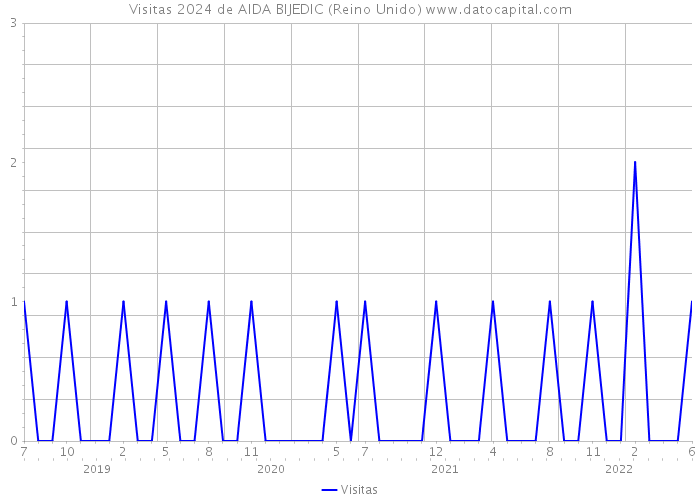 Visitas 2024 de AIDA BIJEDIC (Reino Unido) 