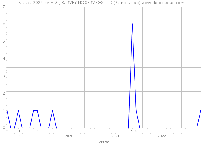 Visitas 2024 de M & J SURVEYING SERVICES LTD (Reino Unido) 