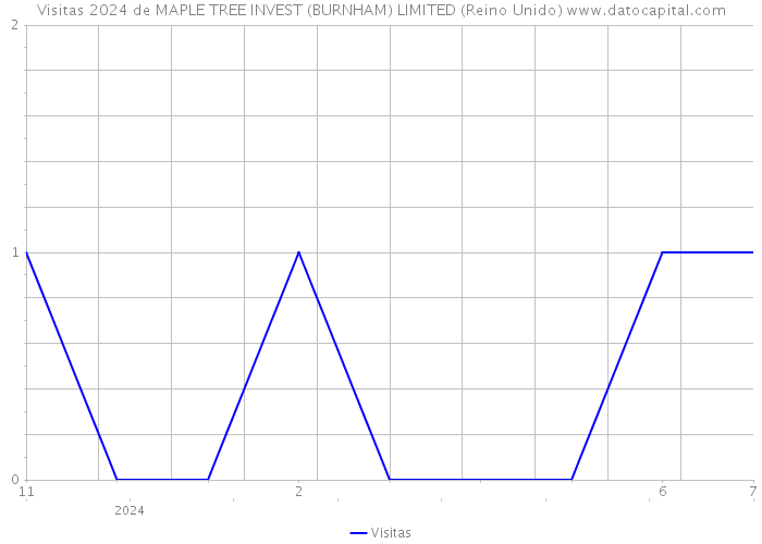 Visitas 2024 de MAPLE TREE INVEST (BURNHAM) LIMITED (Reino Unido) 