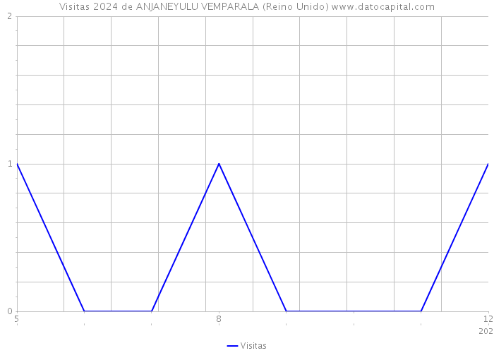 Visitas 2024 de ANJANEYULU VEMPARALA (Reino Unido) 