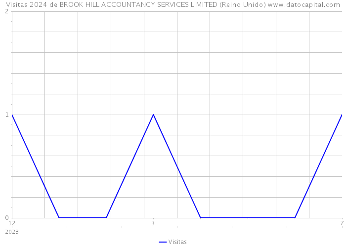 Visitas 2024 de BROOK HILL ACCOUNTANCY SERVICES LIMITED (Reino Unido) 