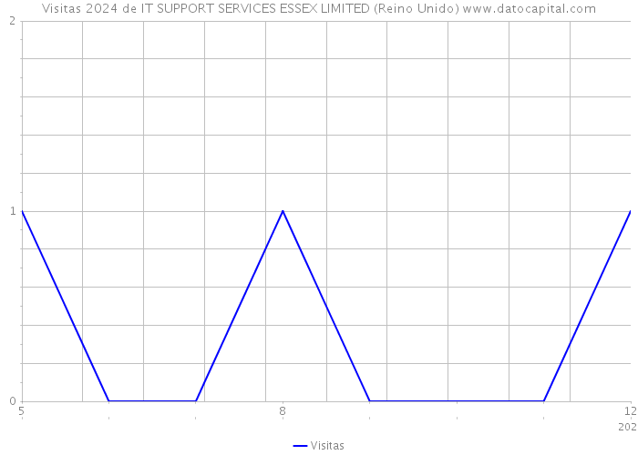 Visitas 2024 de IT SUPPORT SERVICES ESSEX LIMITED (Reino Unido) 