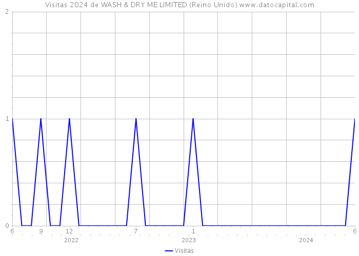 Visitas 2024 de WASH & DRY ME LIMITED (Reino Unido) 