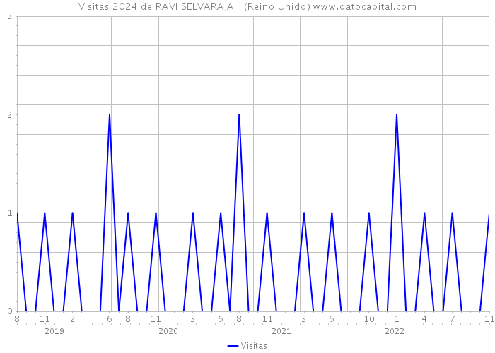 Visitas 2024 de RAVI SELVARAJAH (Reino Unido) 