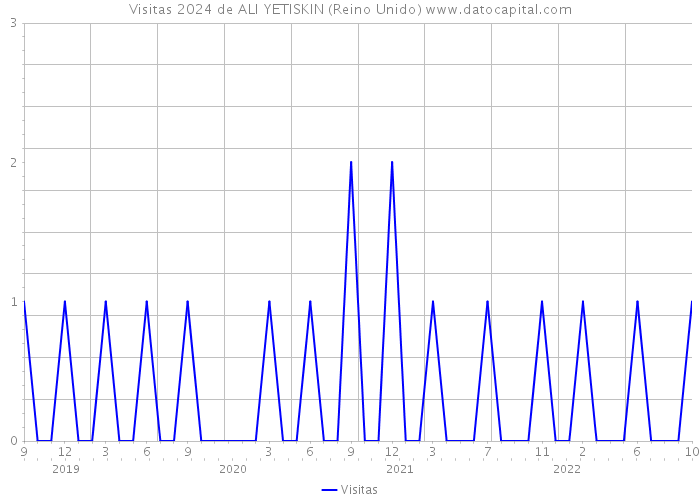 Visitas 2024 de ALI YETISKIN (Reino Unido) 