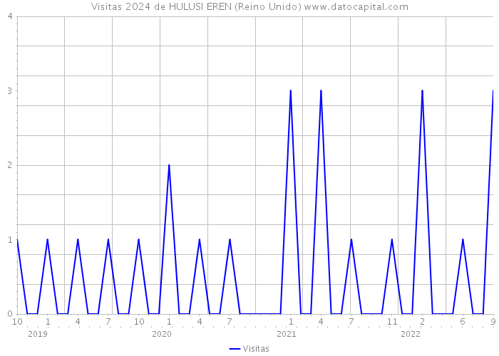 Visitas 2024 de HULUSI EREN (Reino Unido) 