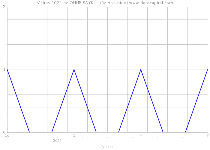 Visitas 2024 de ONUR BAYKUL (Reino Unido) 