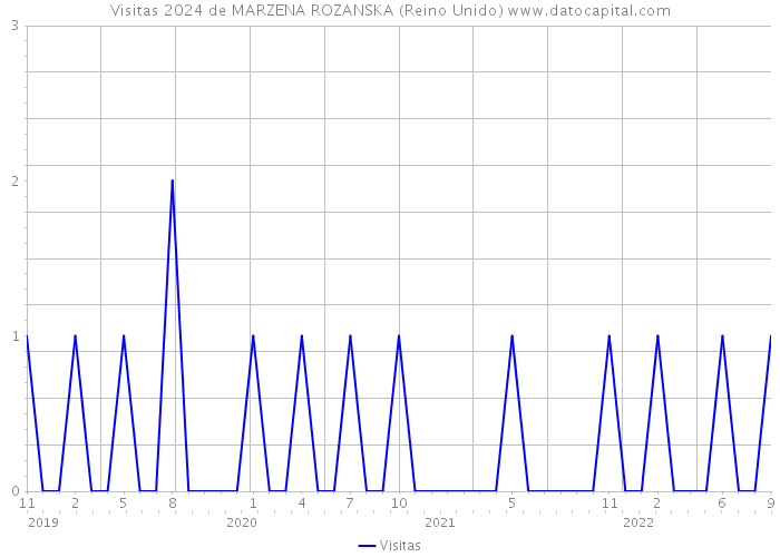 Visitas 2024 de MARZENA ROZANSKA (Reino Unido) 