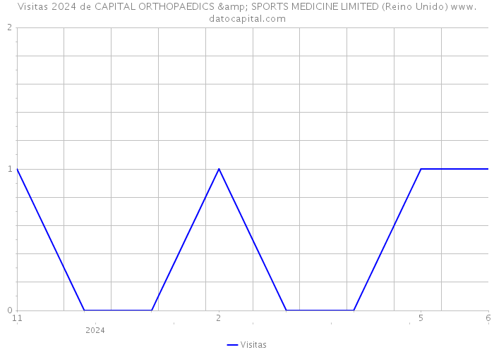 Visitas 2024 de CAPITAL ORTHOPAEDICS & SPORTS MEDICINE LIMITED (Reino Unido) 