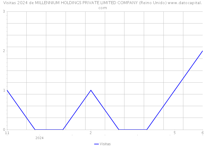 Visitas 2024 de MILLENNIUM HOLDINGS PRIVATE LIMITED COMPANY (Reino Unido) 