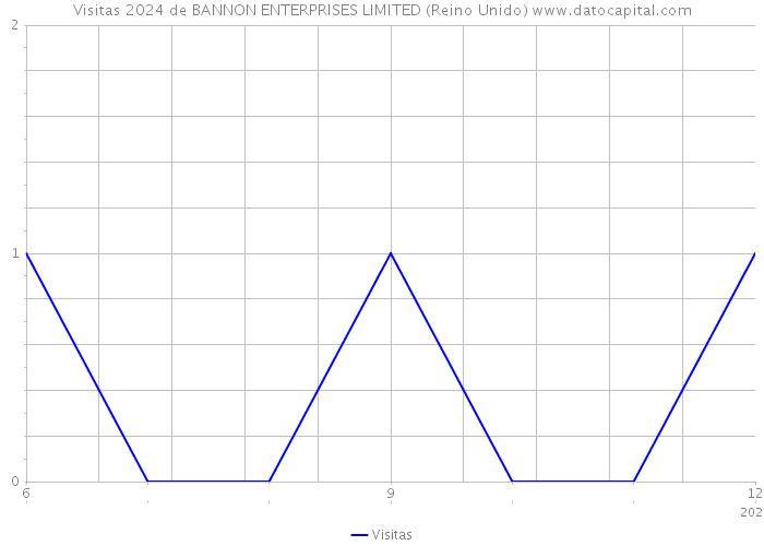 Visitas 2024 de BANNON ENTERPRISES LIMITED (Reino Unido) 