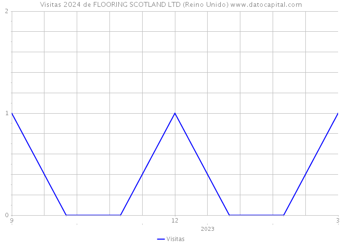 Visitas 2024 de FLOORING SCOTLAND LTD (Reino Unido) 