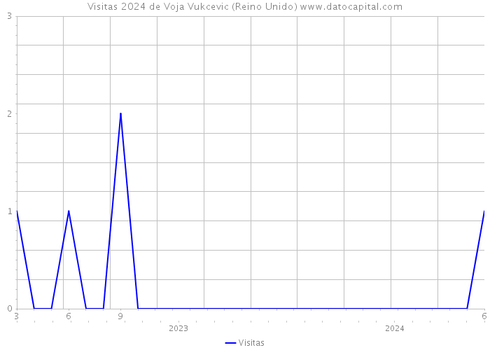 Visitas 2024 de Voja Vukcevic (Reino Unido) 