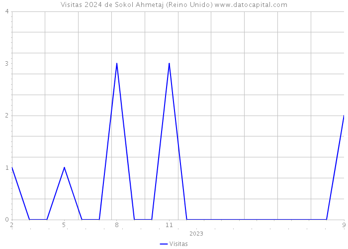 Visitas 2024 de Sokol Ahmetaj (Reino Unido) 