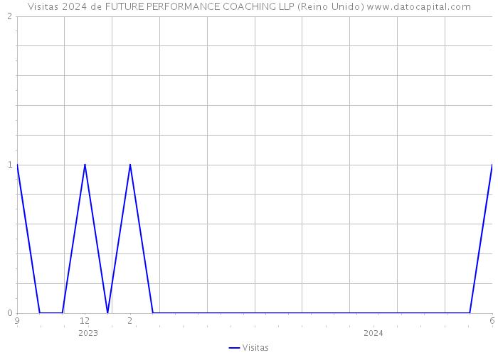 Visitas 2024 de FUTURE PERFORMANCE COACHING LLP (Reino Unido) 