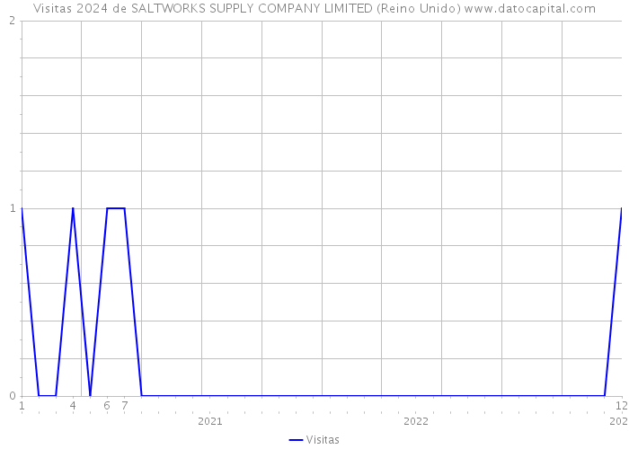 Visitas 2024 de SALTWORKS SUPPLY COMPANY LIMITED (Reino Unido) 