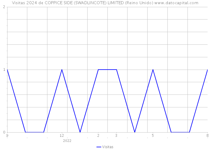 Visitas 2024 de COPPICE SIDE (SWADLINCOTE) LIMITED (Reino Unido) 