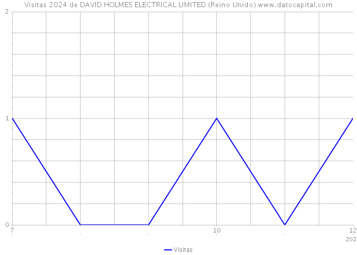 Visitas 2024 de DAVID HOLMES ELECTRICAL LIMITED (Reino Unido) 