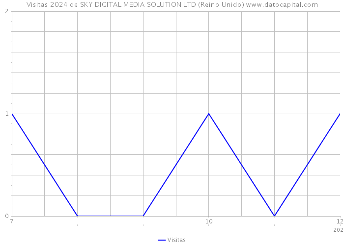 Visitas 2024 de SKY DIGITAL MEDIA SOLUTION LTD (Reino Unido) 