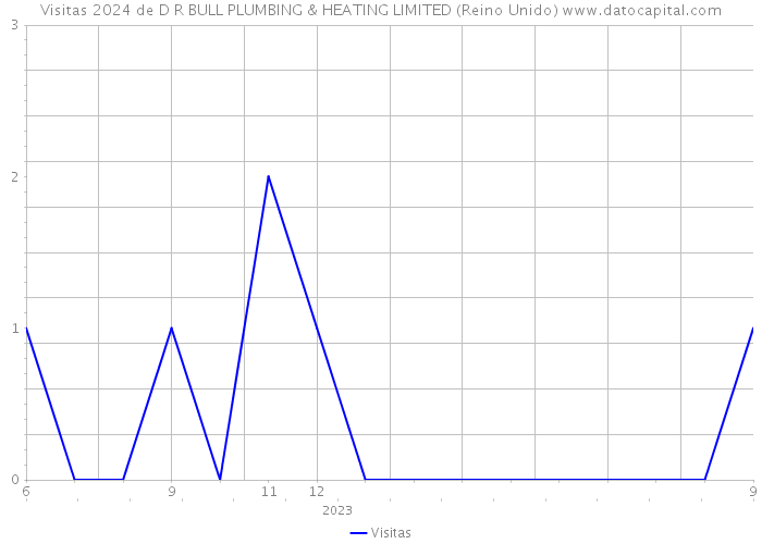Visitas 2024 de D R BULL PLUMBING & HEATING LIMITED (Reino Unido) 