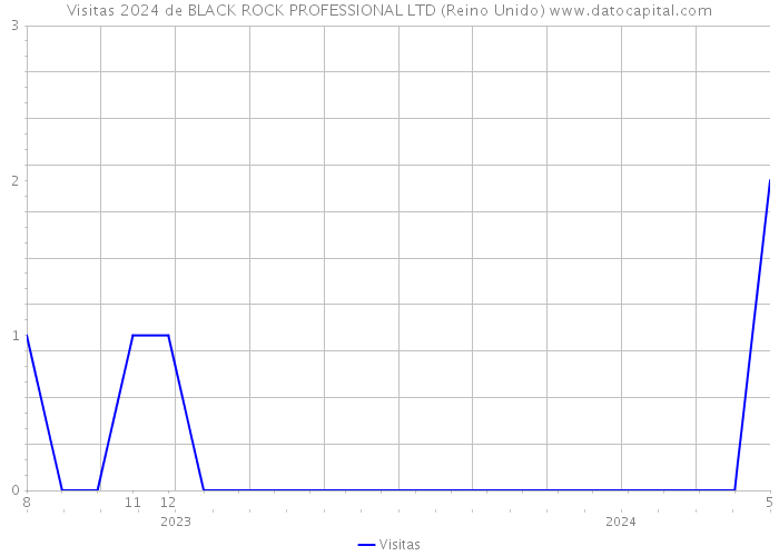 Visitas 2024 de BLACK ROCK PROFESSIONAL LTD (Reino Unido) 