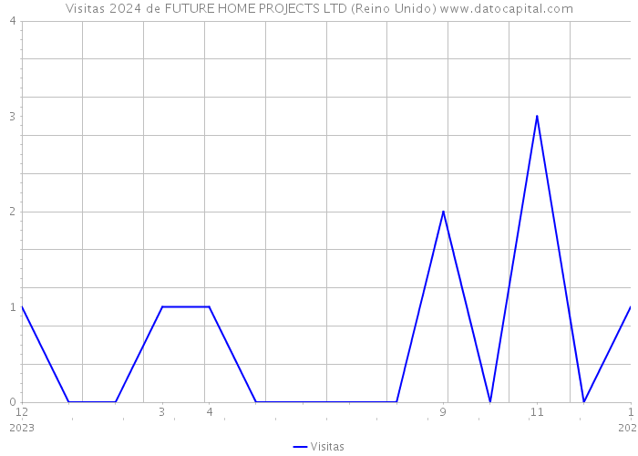 Visitas 2024 de FUTURE HOME PROJECTS LTD (Reino Unido) 