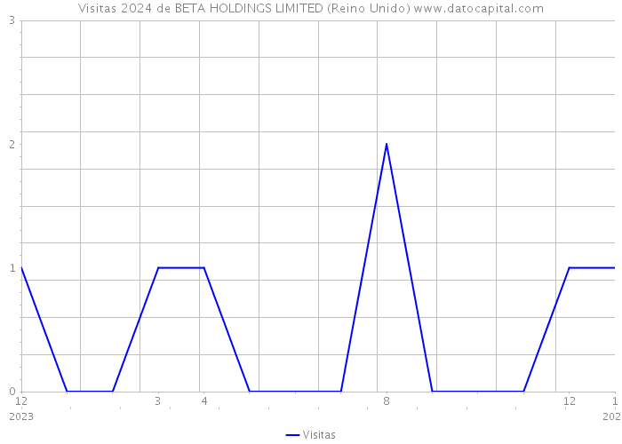 Visitas 2024 de BETA HOLDINGS LIMITED (Reino Unido) 