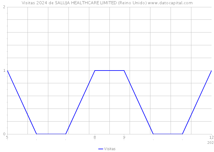 Visitas 2024 de SALUJA HEALTHCARE LIMITED (Reino Unido) 