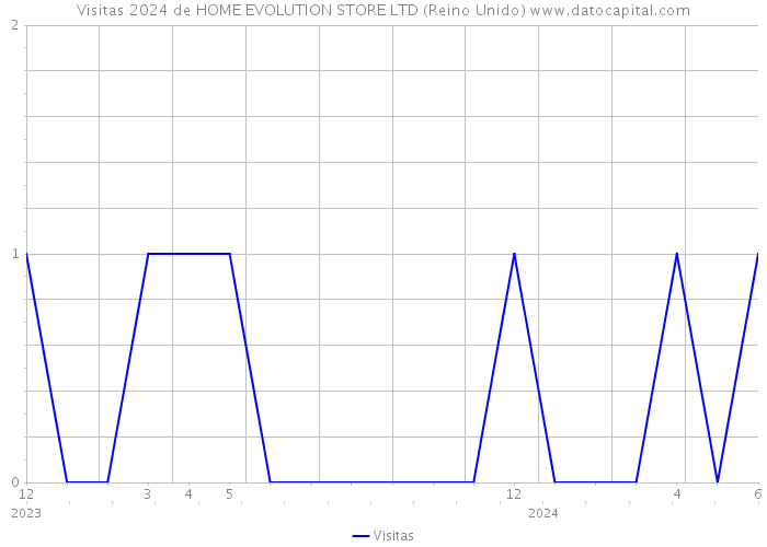 Visitas 2024 de HOME EVOLUTION STORE LTD (Reino Unido) 