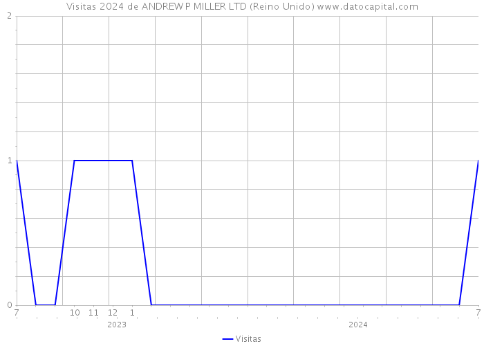 Visitas 2024 de ANDREW P MILLER LTD (Reino Unido) 