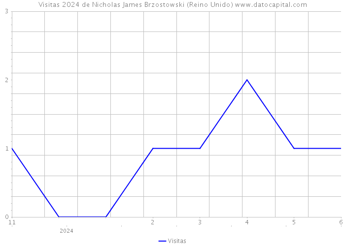 Visitas 2024 de Nicholas James Brzostowski (Reino Unido) 