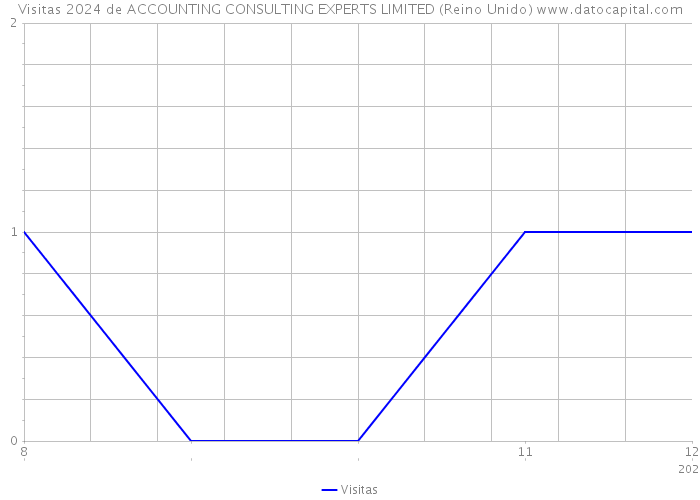 Visitas 2024 de ACCOUNTING CONSULTING EXPERTS LIMITED (Reino Unido) 