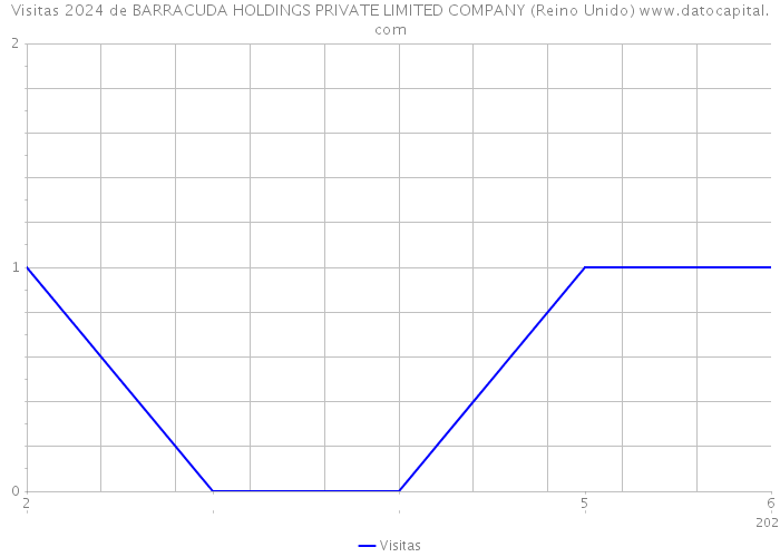 Visitas 2024 de BARRACUDA HOLDINGS PRIVATE LIMITED COMPANY (Reino Unido) 