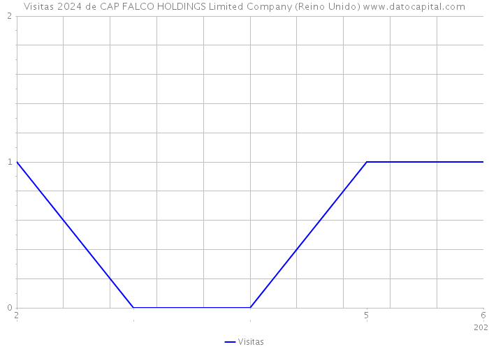 Visitas 2024 de CAP FALCO HOLDINGS Limited Company (Reino Unido) 