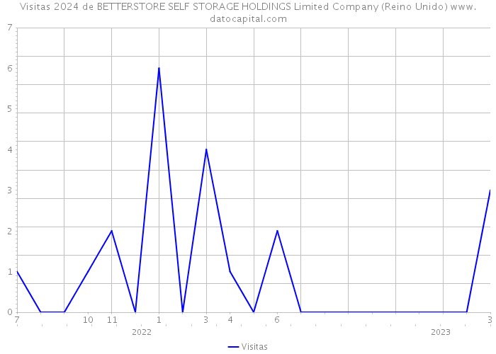 Visitas 2024 de BETTERSTORE SELF STORAGE HOLDINGS Limited Company (Reino Unido) 