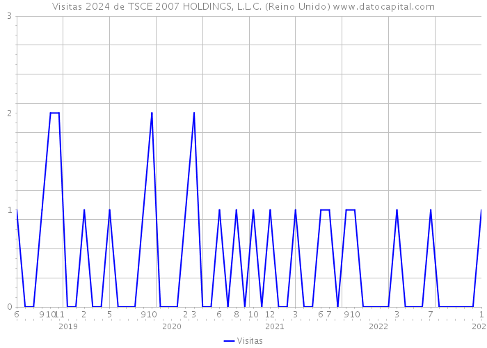 Visitas 2024 de TSCE 2007 HOLDINGS, L.L.C. (Reino Unido) 