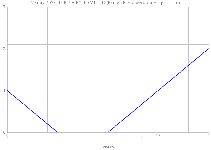 Visitas 2024 de R P ELECTRICAL LTD (Reino Unido) 