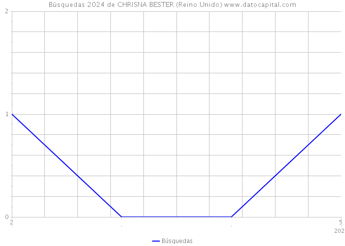 Búsquedas 2024 de CHRISNA BESTER (Reino Unido) 