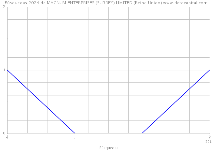 Búsquedas 2024 de MAGNUM ENTERPRISES (SURREY) LIMITED (Reino Unido) 