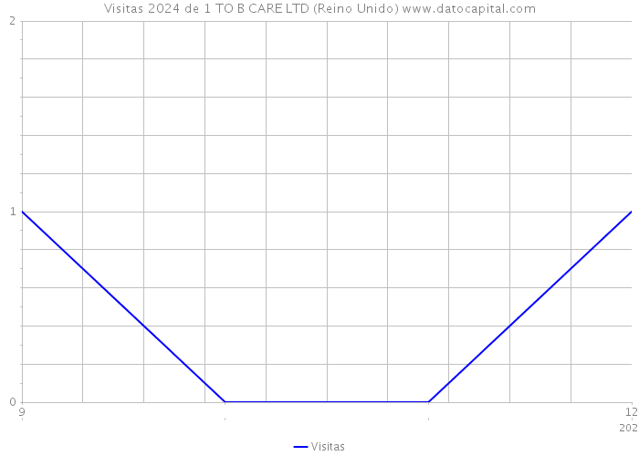 Visitas 2024 de 1 TO B CARE LTD (Reino Unido) 