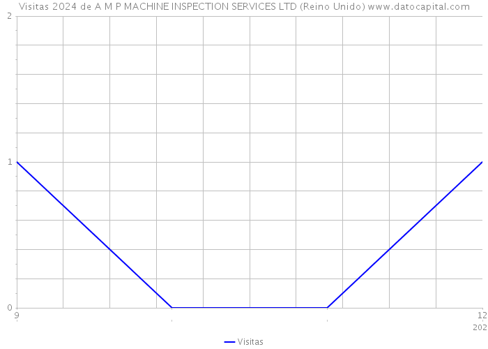 Visitas 2024 de A M P MACHINE INSPECTION SERVICES LTD (Reino Unido) 