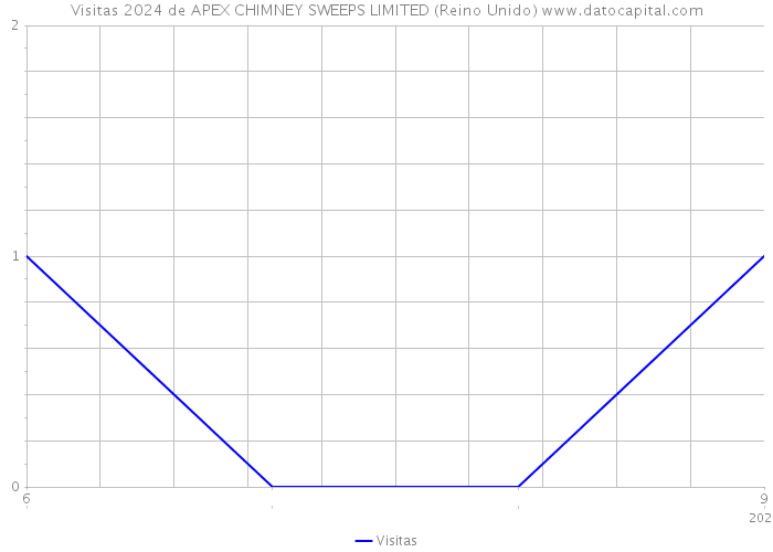 Visitas 2024 de APEX CHIMNEY SWEEPS LIMITED (Reino Unido) 