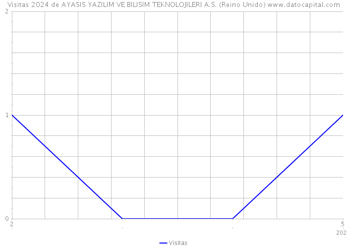 Visitas 2024 de AYASIS YAZILIM VE BILISIM TEKNOLOJILERI A.S. (Reino Unido) 