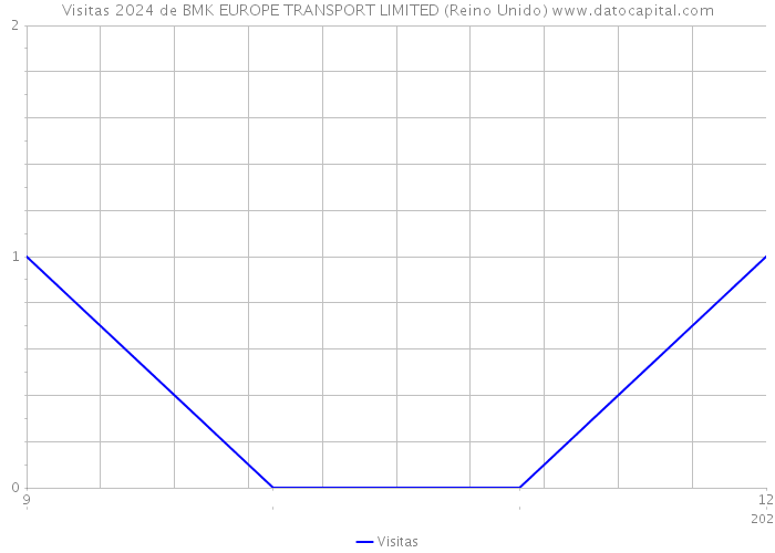 Visitas 2024 de BMK EUROPE TRANSPORT LIMITED (Reino Unido) 
