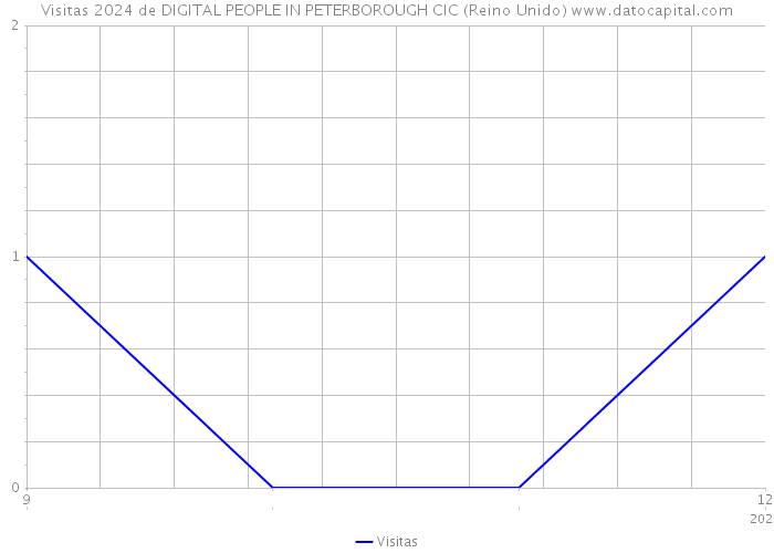 Visitas 2024 de DIGITAL PEOPLE IN PETERBOROUGH CIC (Reino Unido) 