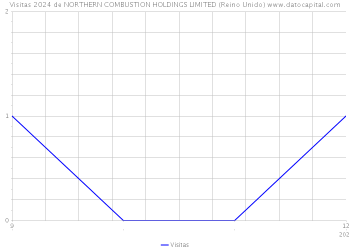 Visitas 2024 de NORTHERN COMBUSTION HOLDINGS LIMITED (Reino Unido) 