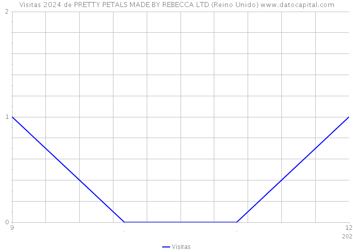 Visitas 2024 de PRETTY PETALS MADE BY REBECCA LTD (Reino Unido) 