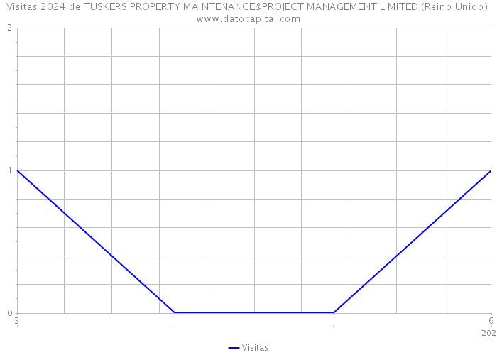 Visitas 2024 de TUSKERS PROPERTY MAINTENANCE&PROJECT MANAGEMENT LIMITED (Reino Unido) 