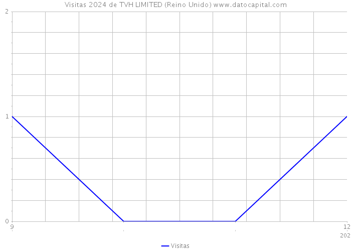 Visitas 2024 de TVH LIMITED (Reino Unido) 